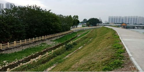 治水攻堅戰｜新華街水環境治理進行時，12月13日戰報及環境檢測服務動態