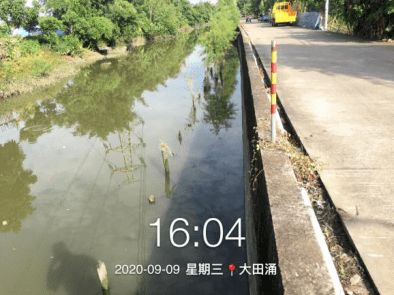 守護碧水清波 石岐河涌環境治理打響“四大戰役”，環境檢測服務保駕護航